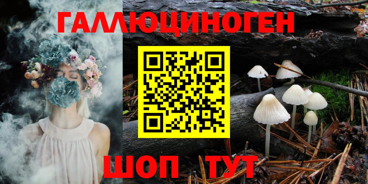 Псилоцибиновые грибы мухоморы Новозыбков