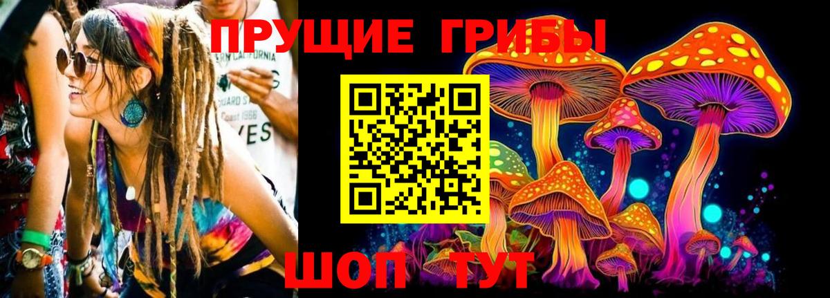 Новозыбков  Галлюциногенные грибы Magic Shrooms  Вход с VPN 
